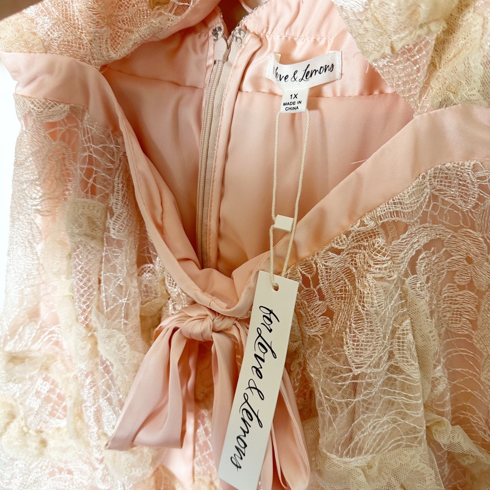 For Love And Lemons Ruffled Lace Mini Dress in Cream and Pink - Picture 8 of 11